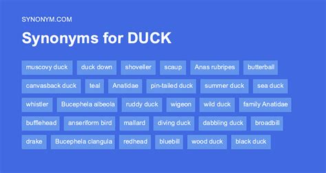 synonym duck